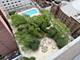 10 E Ontario Unit 2012, Chicago, IL 60611