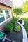 16211 Hunter, Orland Hills, IL 60487