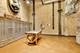 2545 S Dearborn Unit 525, Chicago, IL 60616
