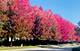 2236 Stowe, Naperville, IL 60564