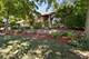 999 S Butternut, Frankfort, IL 60423