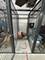 1640 Maple Unit 1208, Evanston, IL 60201