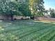 1620 Barthelone, Crest Hill, IL 60403
