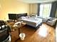 801 S Plymouth Unit 306, Chicago, IL 60605