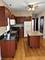 8233 S Escanaba, Chicago, IL 60617