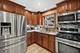 9138 Belleforte, Morton Grove, IL 60053