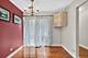 1113 Loughborough, Wheaton, IL 60189