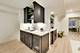 1947 Summerton, Northbrook, IL 60062