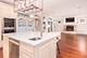 1341 Brophy, Park Ridge, IL 60068