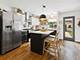 979 W Cullerton, Chicago, IL 60608