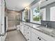 109 Grove, Glen Ellyn, IL 60137