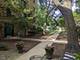 1535 Monroe Unit 2, River Forest, IL 60305