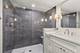 8918 Parkside, Morton Grove, IL 60053