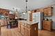 26605 S Jacob, Channahon, IL 60410