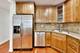 3505 N Janssen Unit 2, Chicago, IL 60657