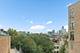 1735 N Paulina Unit 401, Chicago, IL 60622