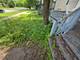 11940 S Wallace, Chicago, IL 60628