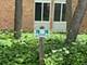 5813 Oakwood Unit D, Lisle, IL 60532