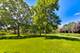 110 S Marion Unit 201, Oak Park, IL 60302