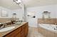 110 S Marion Unit 201, Oak Park, IL 60302