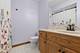 532 Lisson, New Lenox, IL 60451