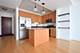 1250 S Michigan Unit 2205, Chicago, IL 60605