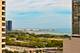 1250 S Michigan Unit 2205, Chicago, IL 60605