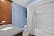 4N869 Black Willow, St. Charles, IL 60175