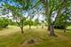 8540 Candlelight, Willow Springs, IL 60480