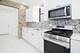 1101 N Christiana Unit 1, Chicago, IL 60651