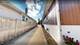 1817 S 23rd, Maywood, IL 60153