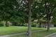 11805 S Peoria, Chicago, IL 60643