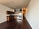 235 W Van Buren Unit 2819, Chicago, IL 60607