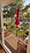 9575 N Terrace Unit 2G, Des Plaines, IL 60016