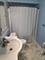 244 Maple, Paw Paw, IL 61353
