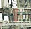 4330 W 18th, Chicago, IL 60623