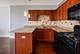 4537 S Drexel Unit 604, Chicago, IL 60653