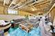 5608 N Fairview, Chicago, IL 60631