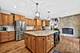 408 W Pine, Roselle, IL 60172