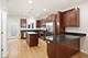 345 W 29th, Chicago, IL 60616