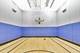 545 N Dearborn Unit 2309, Chicago, IL 60654