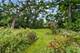206 N Bonnie Brae, Elmhurst, IL 60126