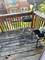 10747 S Harlem Unit 3A, Worth, IL 60482
