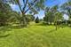 6429 Taylor, Woodridge, IL 60517