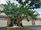1175 Kingsmill Unit 1175, Algonquin, IL 60102