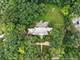 1418 Waverly, Highland Park, IL 60035