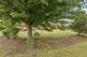 16243 W Blackhawk, Lockport, IL 60441