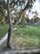 2209 Arbor Unit 25, Downers Grove, IL 60515