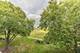 1311 S Finley Unit 316, Lombard, IL 60148