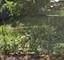 7316 S Marshfield, Chicago, IL 60636